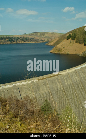 Llyn Clywedog serbatoio e Dam in Powys Galles Centrale Foto Stock