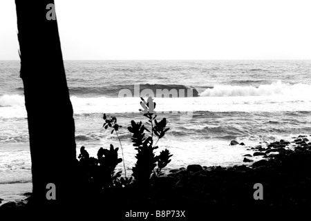 Comore, Anjouan, onde, west coast. Foto Stock