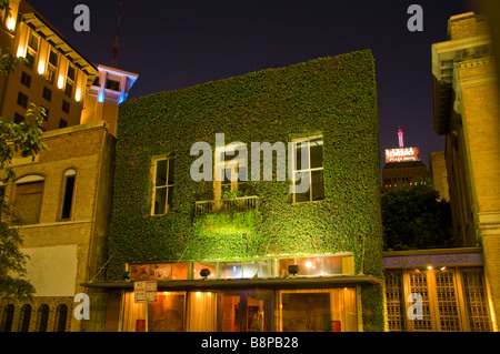 Il centro cittadino di San Antonio durante la notte illuminata la costruzione di coperta di verde edera Texas tx Foto Stock