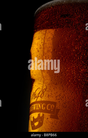 Una pinta di birra che viene versata in un pub di campagna prodotta da una microbirreria 1648 Brewing Co. Foto da Jim Holden. Foto Stock