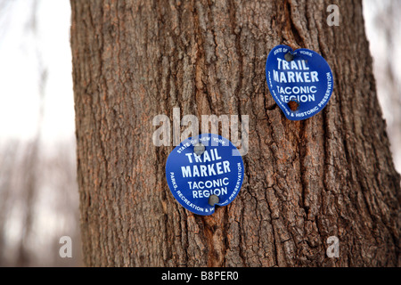 Sentiero escursionistico marcatori postato su un albero, vicino a Cold Spring, NY, STATI UNITI D'AMERICA Foto Stock