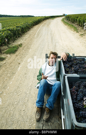 Francia, Champagne-Ardenne, Aube, uomo seduto accanto a contenitori di uve sul carrello letto, cavalcare lungo la strada sterrata attraverso la vigna Foto Stock