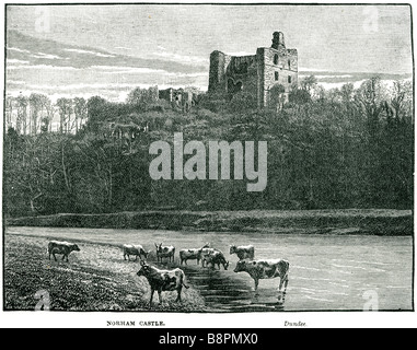 Norham Castle è in parte un castello in rovina in Northumberland, Inghilterra, e si affaccia sul fiume Tweed, sul confine tra Inghilterra un Foto Stock