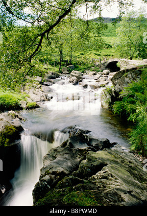 Parco Nazionale del Distretto dei Laghi. Vecchio packhorse alta Svezia ponte su Scandale Beck nelle colline sopra ambleside, cumbria, Inghilterra. Foto Stock