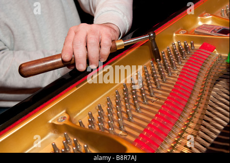 Dettaglio delle mani di un uomo piano tuner tuning un pianoforte a coda prima di un concerto, REGNO UNITO Foto Stock