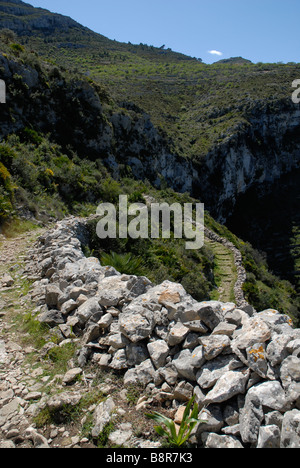 Mozarabo sentiero sulla collina, Vall de Laguart, Benimaurell, Provincia di Alicante, Comunidad Valenciana, Spagna Foto Stock