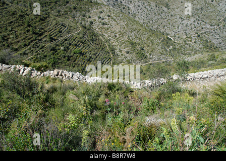 Mozarabo trail, Vall de Laguart, Benimaurell, Provincia di Alicante, Comunidad Valenciana, Spagna Foto Stock