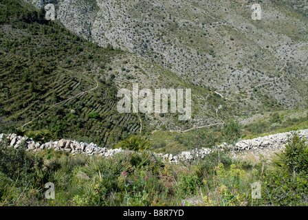 Antica mozarabico sentiero a gradini, Vall de Laguart, Benimaurell, Provincia di Alicante, Comunidad Valenciana, Spagna Foto Stock