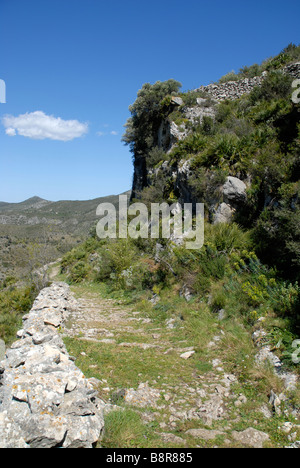 Antica mozarabico sentiero a gradini, Vall de Laguart, Benimaurell, Provincia di Alicante, Comunidad Valenciana, Spagna Foto Stock