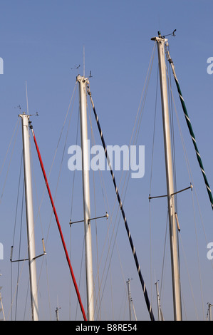 Port Olímpic. Il lungomare di Barcellona. La Catalogna. Spagna Foto Stock