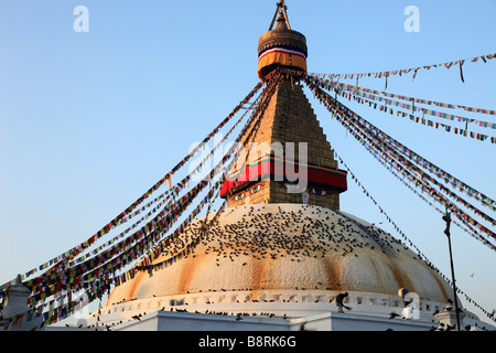 Il Nepal valle di Kathmandu Boudhanath Bodhnath Stupa Foto Stock