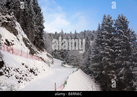 Rauris Austria alzato di Rauriser Hochalmbahnen pista da sci piste attraverso gli abeti nelle Alpi austriache in inverno la neve Foto Stock