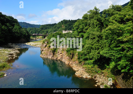 Shirokawa River, Shirakawa-go, Gifu Prefecture, Japan Foto Stock