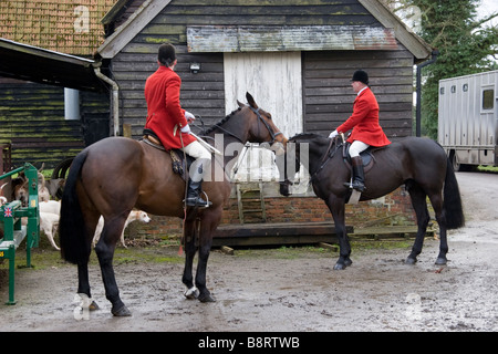 Huntsman Whipper in e foxhounds dell'Essex e Suffolk Hunt Inghilterra Foto Stock