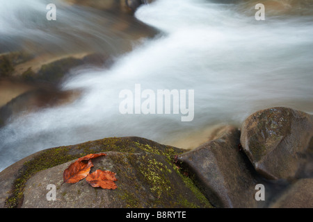 Cascata sul tubo Hylaty, monti Bieszczady Polonia Foto Stock