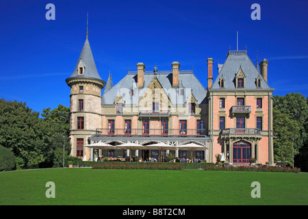 Chateau Schadau presso il lago di Thun il cantone di Berna Svizzera Thunersee Foto Stock