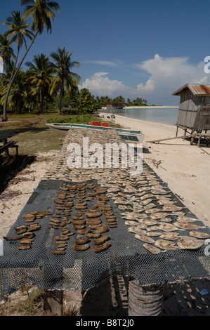 Cetrioli di mare e pesce essiccazione su piattaforma di legno Pulau Maiga Semporna Sulu Mare Malaysia Sout East Asia Foto Stock
