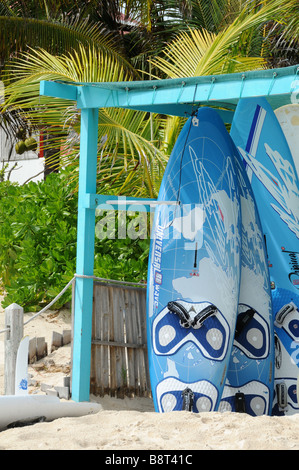 Tavole da Surf allineate sulla spiaggia Foto Stock