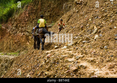 Un locale zhuang cavalcando un asino vicino Longshen, Guanwi provincia, Cina. Foto Stock