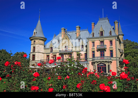 Chateau Schadau presso il lago di Thun il cantone di Berna Svizzera Thunersee Foto Stock