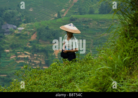 Dong agricoltore lavora in terrazze di riso di Longsheng, provincia di Guangxi, Cina; Foto Stock