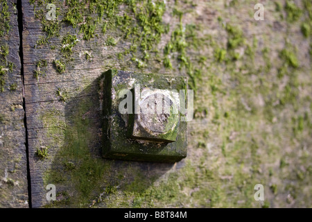 Primo piano di dettaglio groyne a Bournemouth Foto Stock