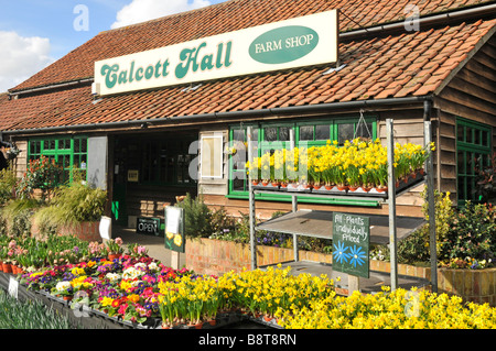 Calcott Hall Farm Shop e la selezione di piante da giardino in vendita Foto Stock