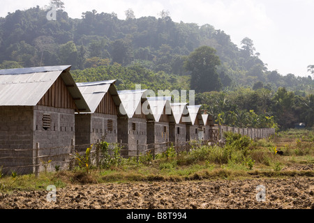 India Andamane e Nicobare Havelock island nuovo sviluppo turistico Symphony Palms Resort Foto Stock