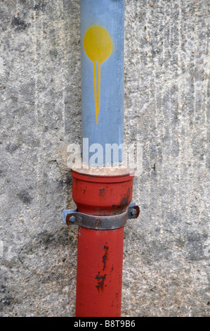 Verniciato giallo posto sul tubo di scolo, Castagniers Francia Foto Stock