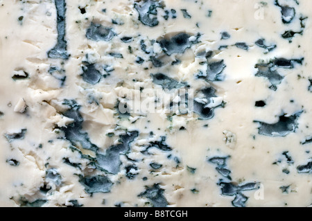 "Bleu d'Auvergne AOC Rocabret' / Auvergne formaggio blu - Francia. Foto Stock