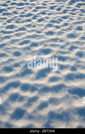 Congelati in presenza di neve e ghiaccio patterns Foto Stock