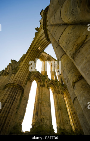 Rievaulx Abbey, North Riding dello Yorkshire Regno Unito, angolo basso dettaglio Foto Stock