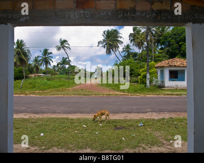 Un piccolo insediamento sulla Ilha do Marajo isola fluviale in Amazzonia, Para stato, nel nord del Brasile. Foto Stock