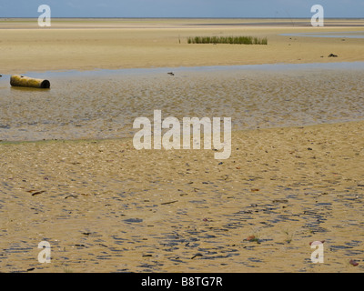 La bassa marea in Ilha do Marajo isola fluviale in Amazzonia, Para stato, nel nord del Brasile. Foto Stock
