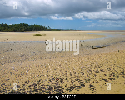 Ilha do Marajo isola fluviale in Amazzonia, Para stato, nel nord del Brasile. Foto Stock