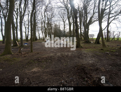 Volare il ribaltamento di boschi, in East Yorkshire. Foto Stock