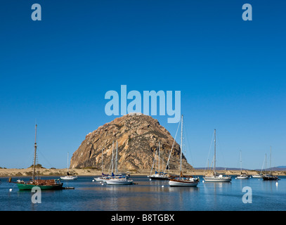 Morro Bay sulla costa del Pacifico in California centrale, STATI UNITI D'AMERICA Foto Stock