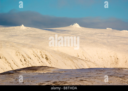 Il granito tori e il plateau di Ben Avon nei Cairngorms, Scozia, da Creag Choinnich guardando a nord. Foto Stock