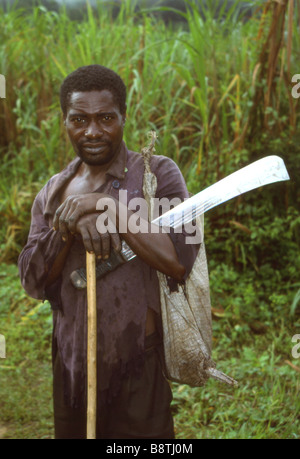 Zucchero cane piantagione lavoratore con machete per tagliare canna. Camerun Foto Stock