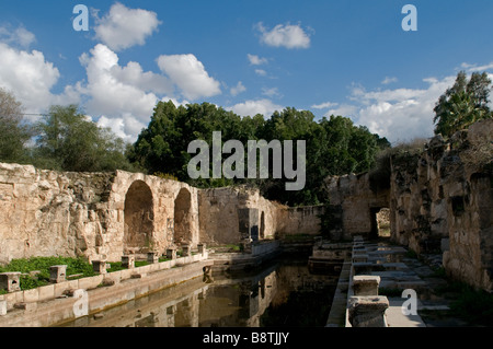 Antiche terme romane a Hamat Gader o al-Hamma un sito di sorgenti termali nella valle del fiume Yarmouk in Golan Heights Israele Foto Stock