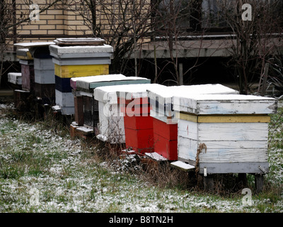 Gelo della neve coperto di copertura fatta in casa di legno di legno Honey Bee Apis mellifera alveari alveari nel giardino di una casa bosnia BALCANI Foto Stock