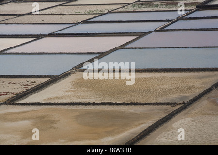Sale geometrica evaporazione per piscine di Salinas de Janubio saltmine in Lanzarote, Spagna. Foto Stock