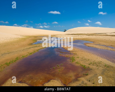 Dune umido su un isola fluviale del Parnaíba Delta, Piaui membro, nel nordest del Brasile. Foto Stock