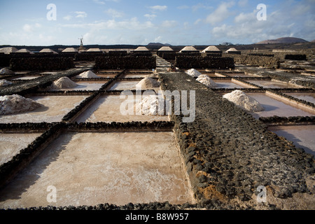 Evaporazione di acqua salata di bacini di Salinas de Janubio saltmine in Lanzarote, Spagna. Foto Stock