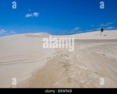 Una duna di sabbia nella parte occidentale dei Lençois Maranhenses marchio nazionale, Stato di Maranhão, nel nordest del Brasile.