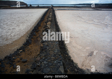 Sale per piscine di Salinas de Jubio saltmine in Lanzarote, Spagna. Foto Stock