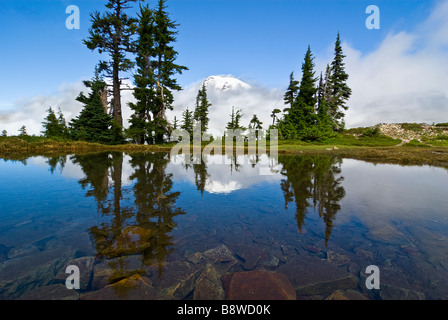 Stati Uniti d'America, Washington, Mt. Rainier NP. Mt Rainier riflesse nel sistema alpino di Tarn. Foto Stock
