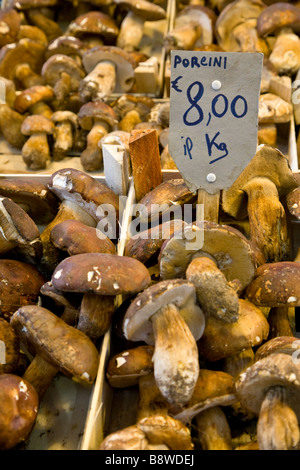 Funghi per la vendita nel Mercato Centrale (Central Market) Firenze, Italia. Foto Stock