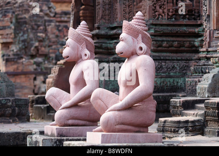 Monkey custodi presso il Banteay Srei temple, Cambogia Foto Stock