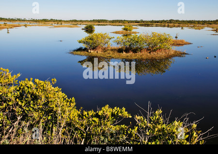 Merritt Island National Wildlife Refuge Foto Stock